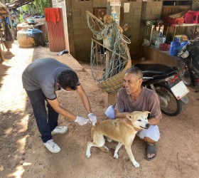 โครงการฉีดวัคซีนป้องกันโรคพิษสุนัขบ้า
